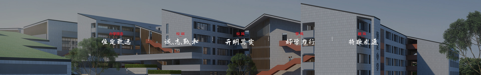 安博网